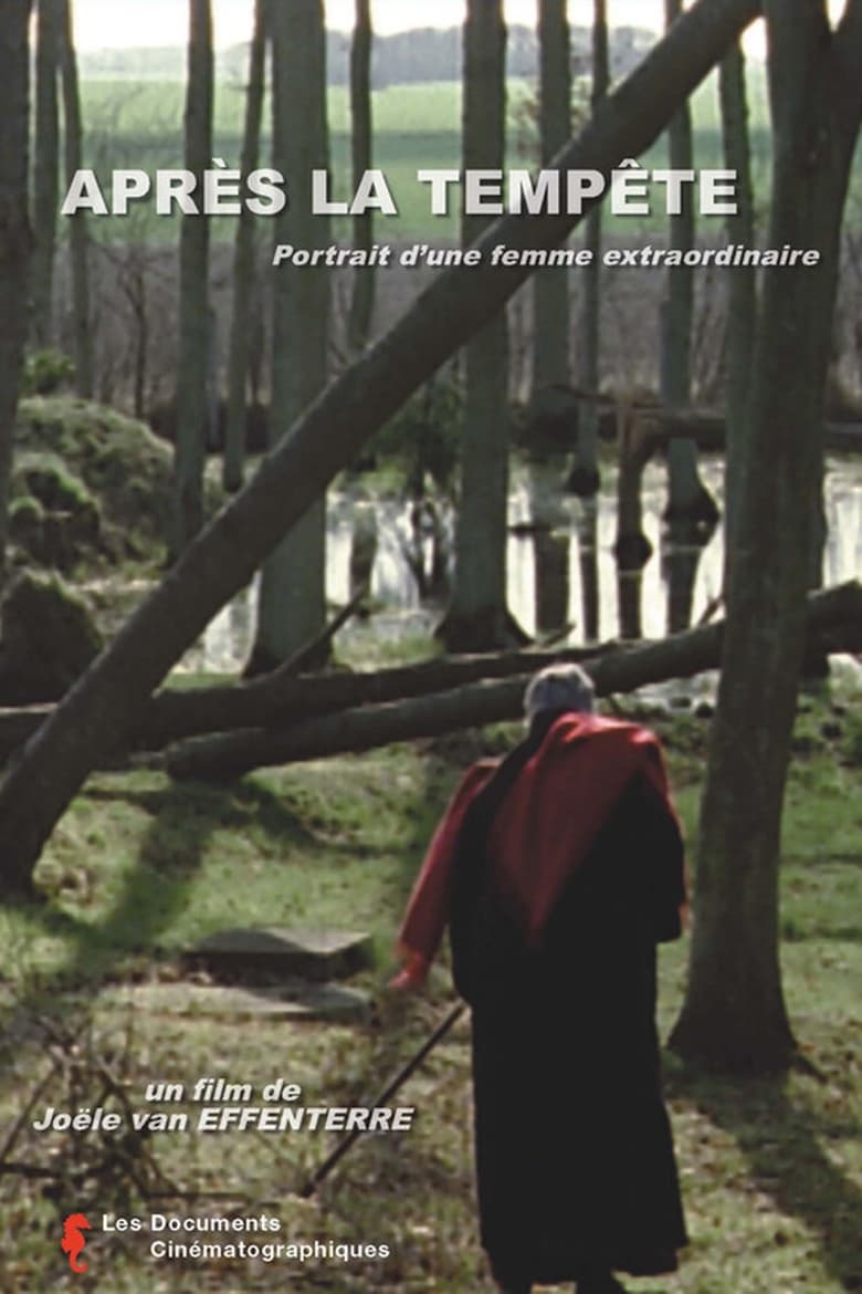 Poster of Après la tempête