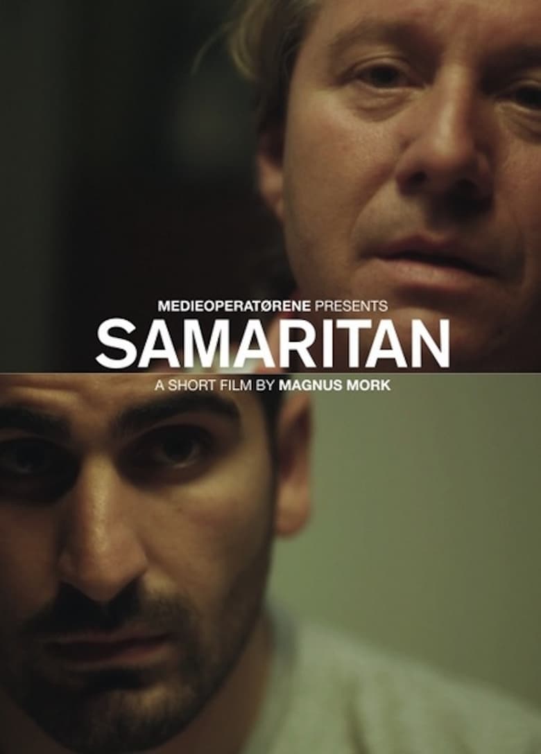 Poster of The Samaritan