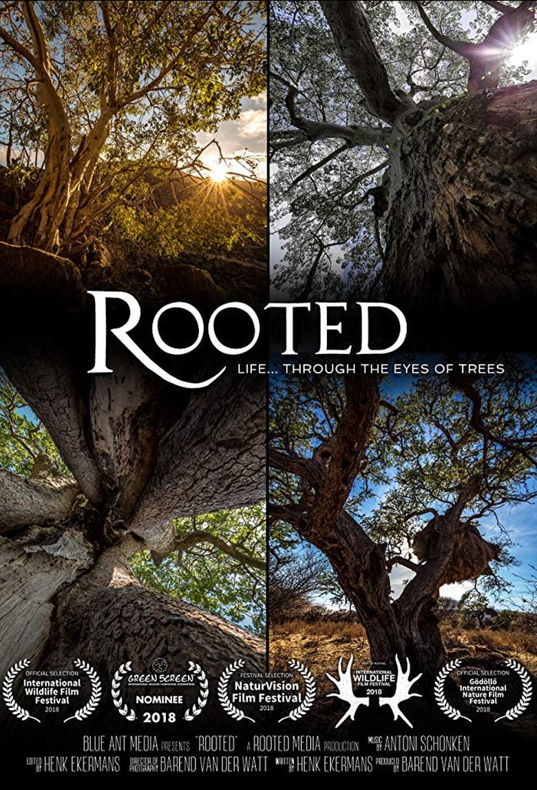 Poster of Rooted