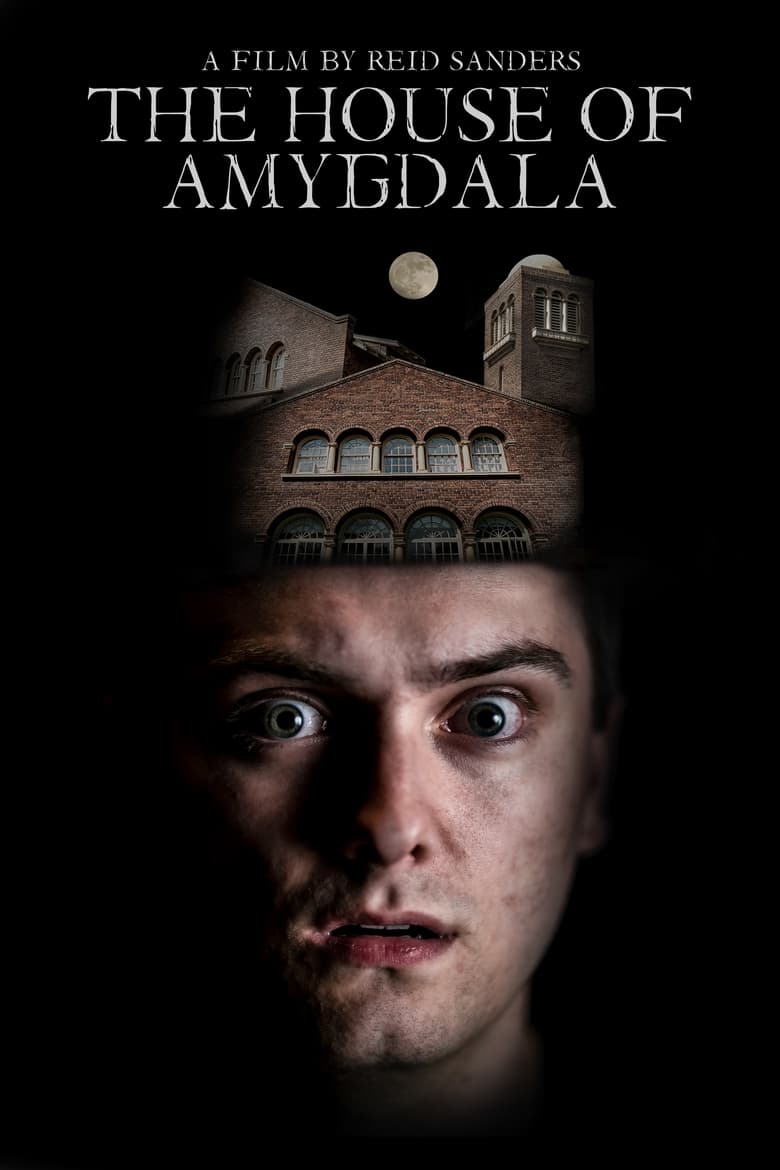 Poster of The House of Amygdala