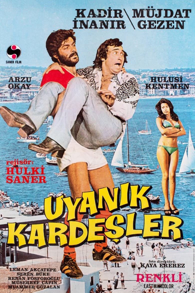 Poster of Uyanık Kardeşler