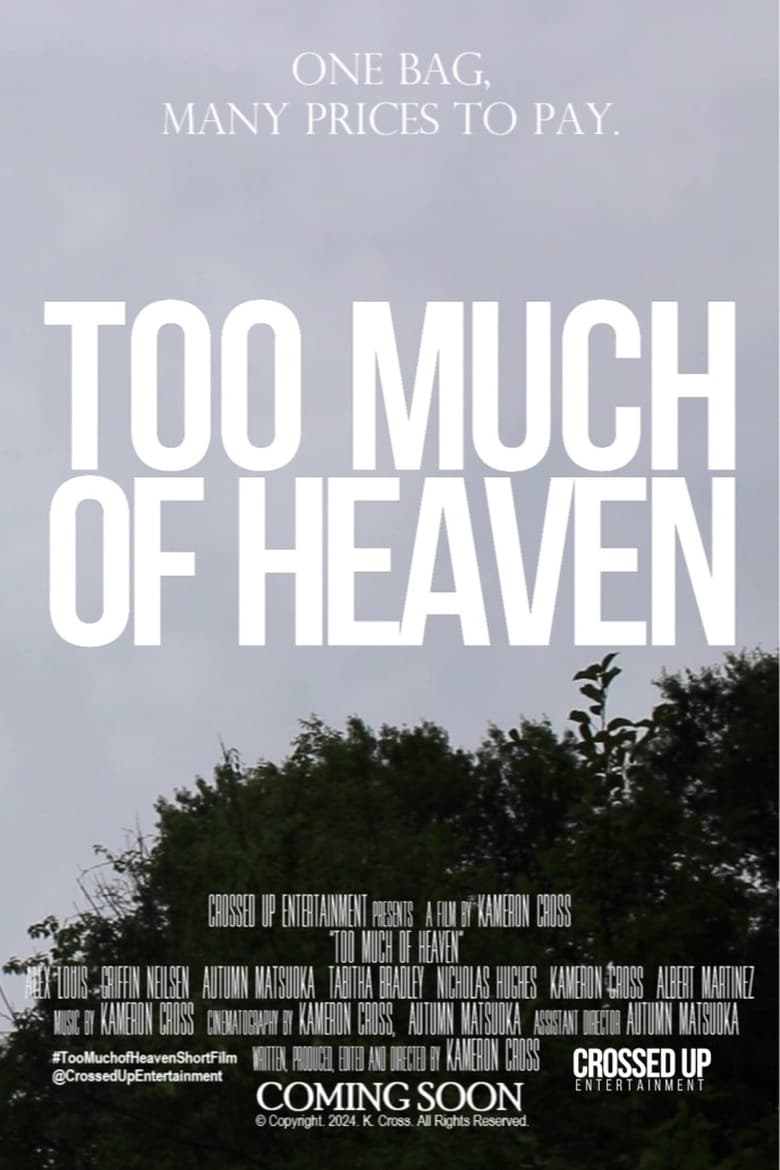 Poster of Too Much of Heaven