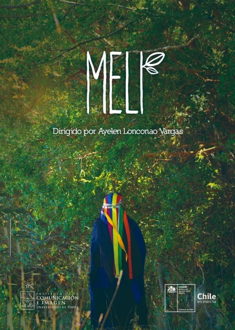 Poster of Meli