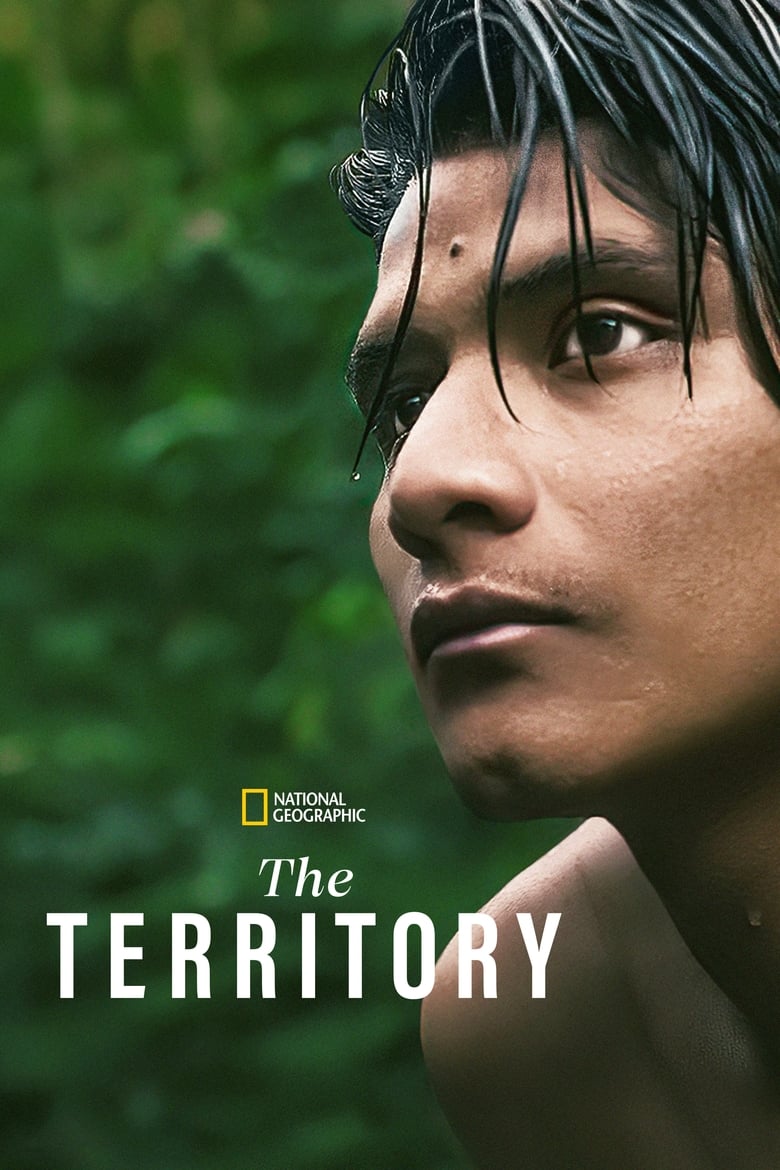 Poster of The Territory