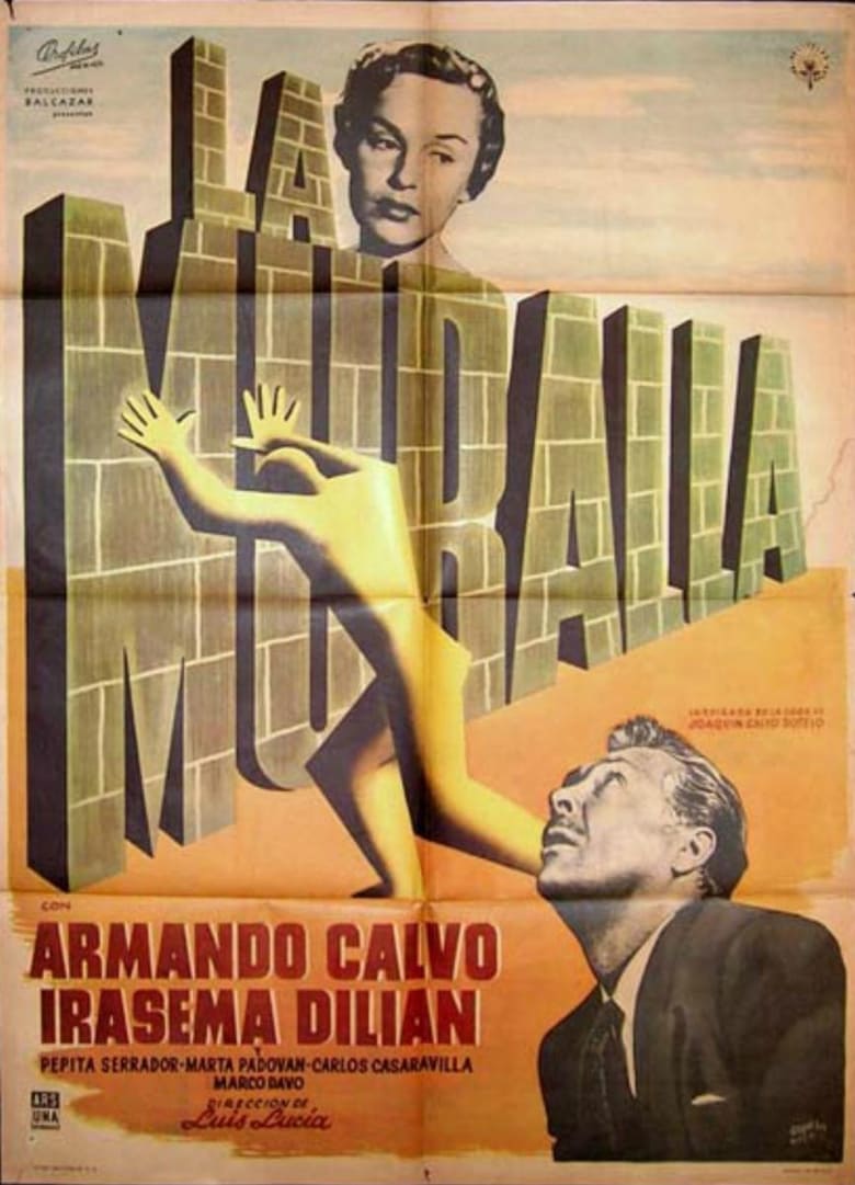 Poster of La muralla