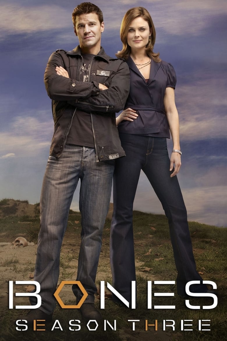 Poster of Bones - Season 3 - Episode 3 - Death in the Saddle