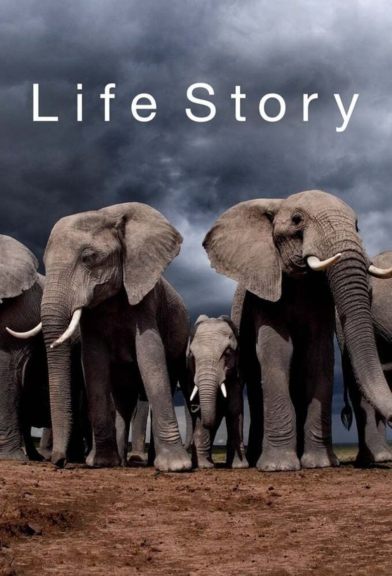 Poster of Cast and Crew in Life Story - Season 1 - Episode 3 - Home