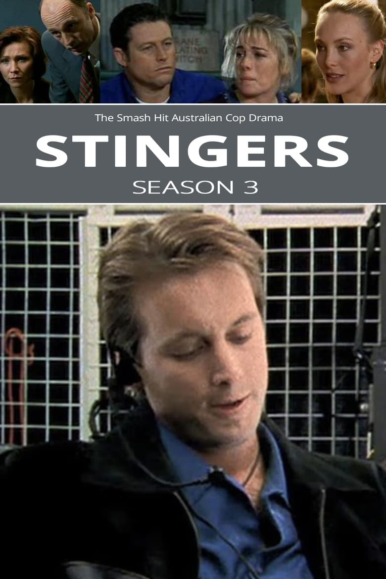 Poster of Episodes in Stingers - Season 3 - Season 3