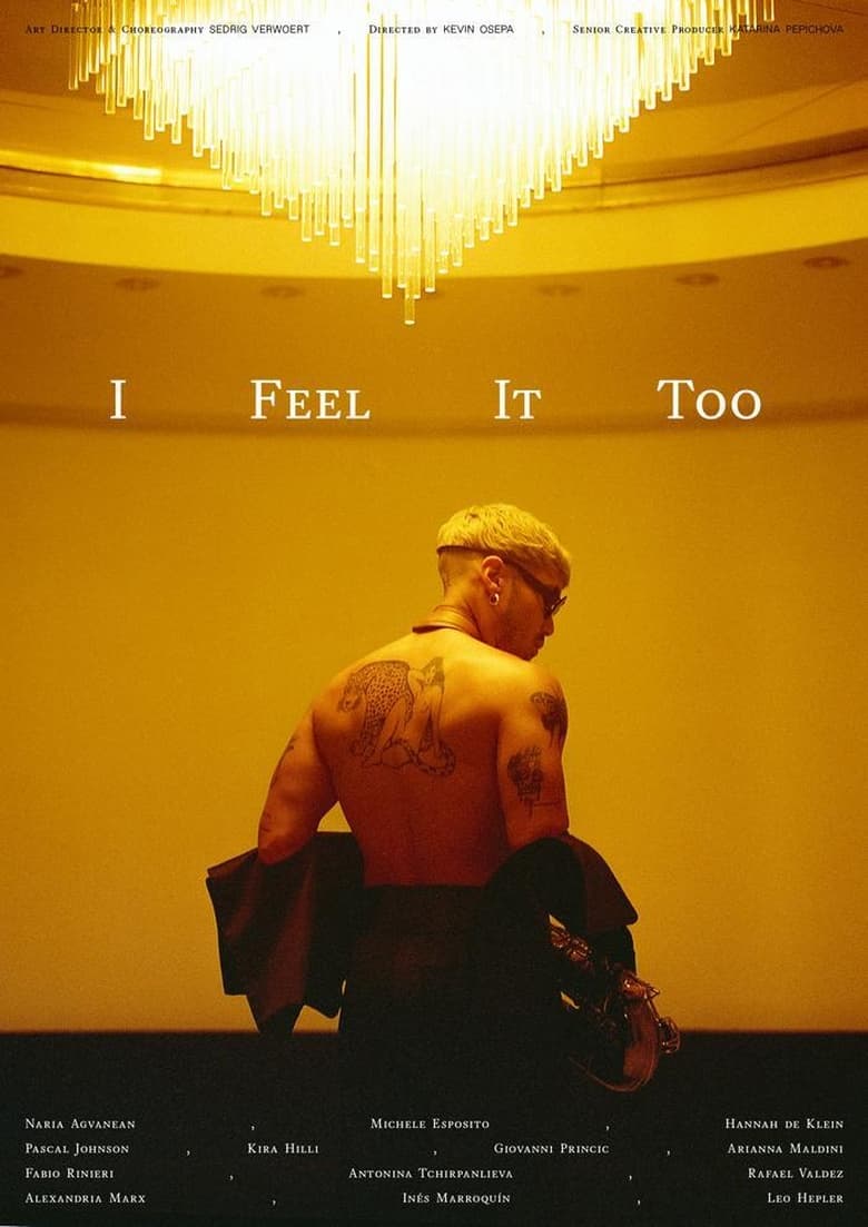 Poster of I Feel It Too