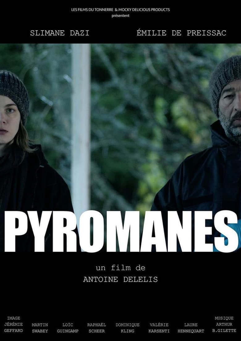 Poster of Pyromanes