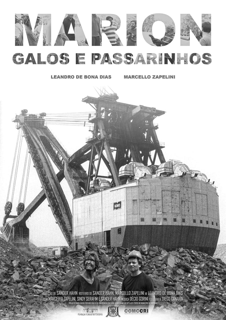 Poster of Marion, Galos e Passarinhos