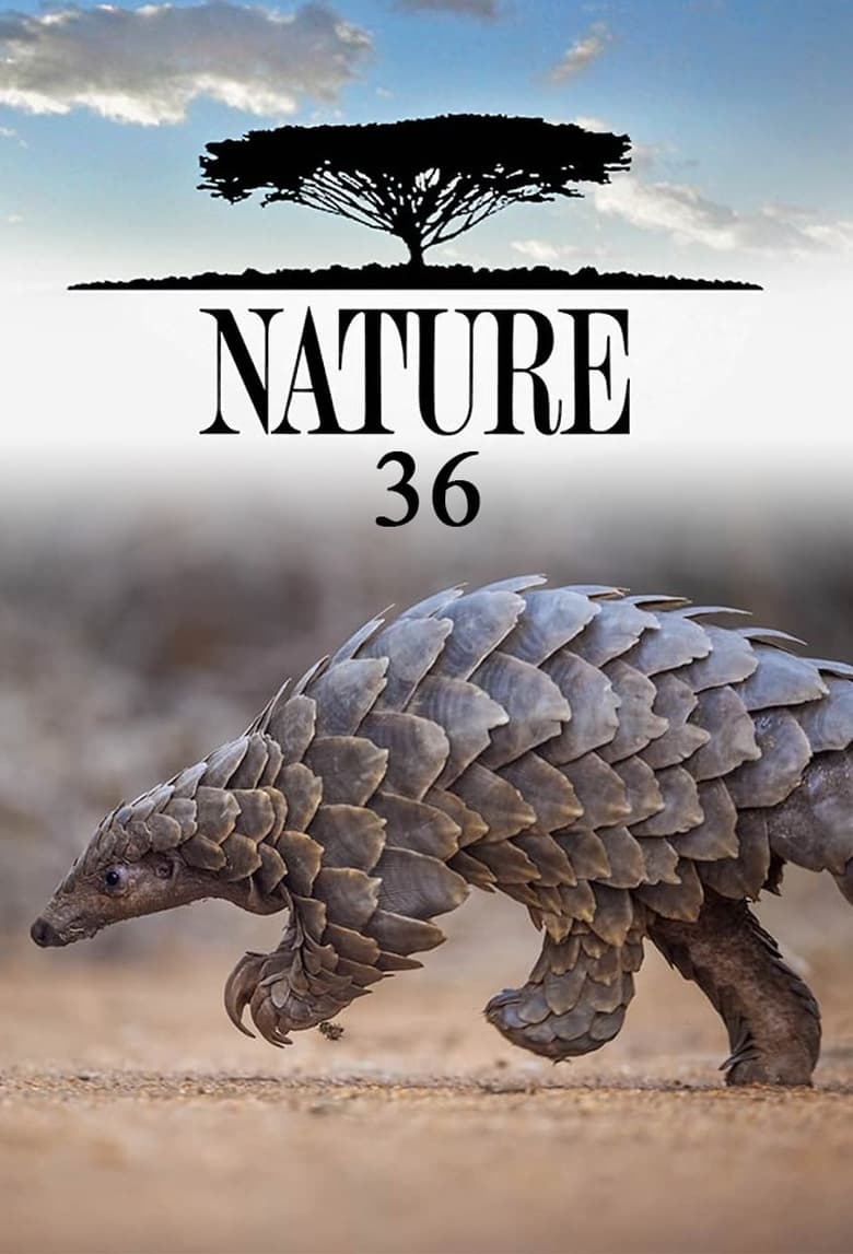 Poster of Cast and Crew in Nature - Season 36 - Episode 12 - Sex, Lies and Butterflies