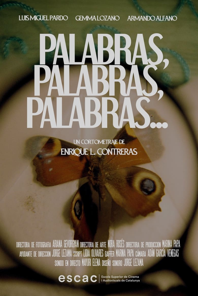 Poster of Palabras, palabras, palabras...