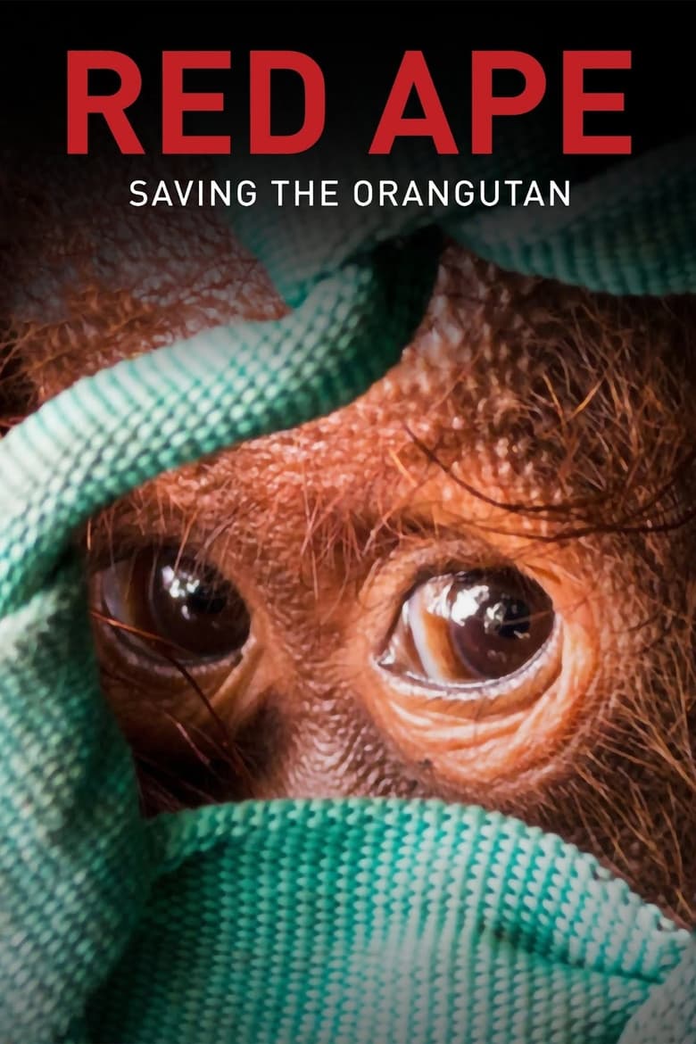 Poster of Red Ape: Saving the Orangutan