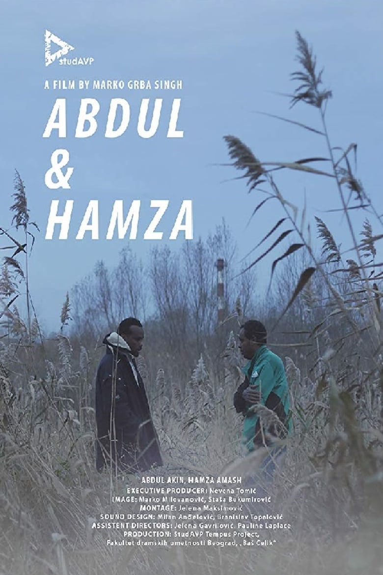 Poster of Abdul & Hamza