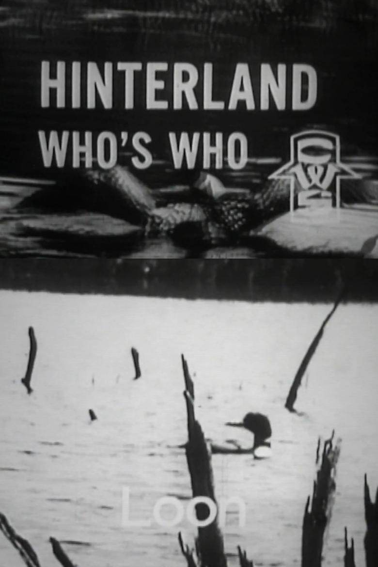 Poster of Hinterland Who's Who: Loon