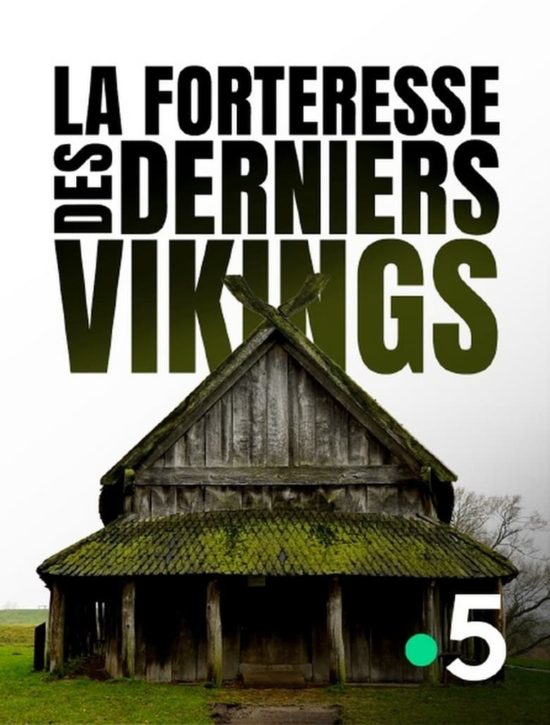 Poster of Viking City of the Dead