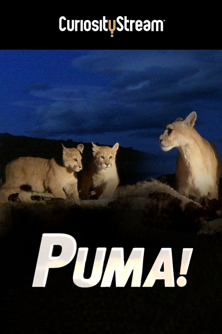 Poster of Puma!