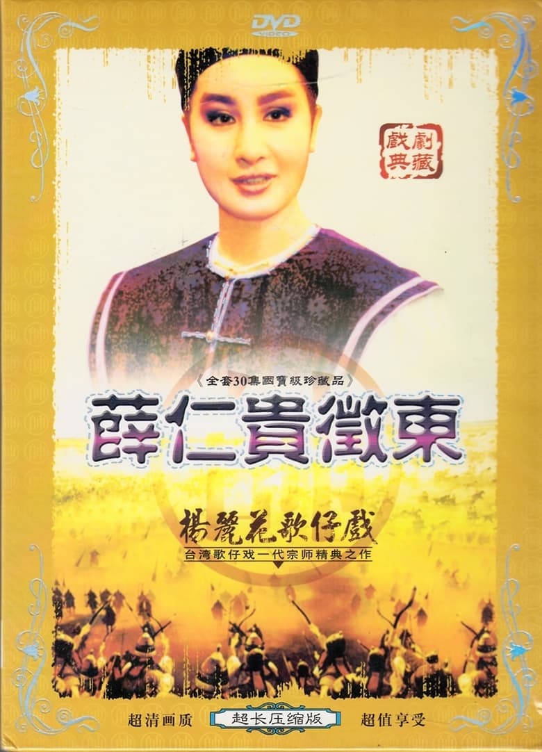 Poster of 楊麗花歌仔戲之薛仁貴征東