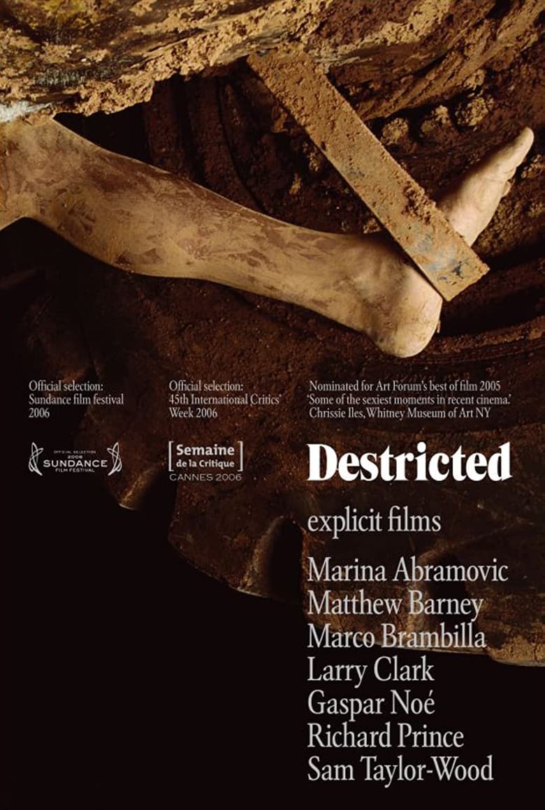 Poster of Destricted