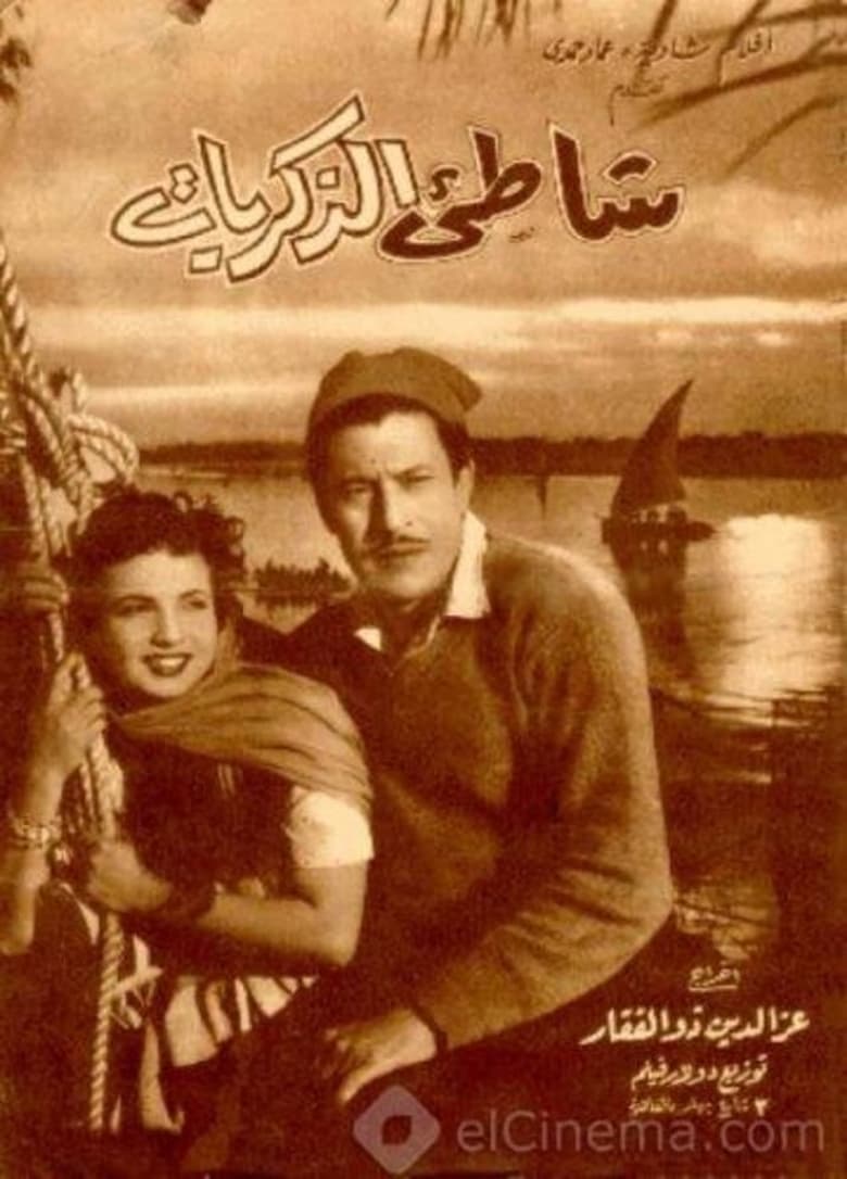 Poster of The Shore of Memories