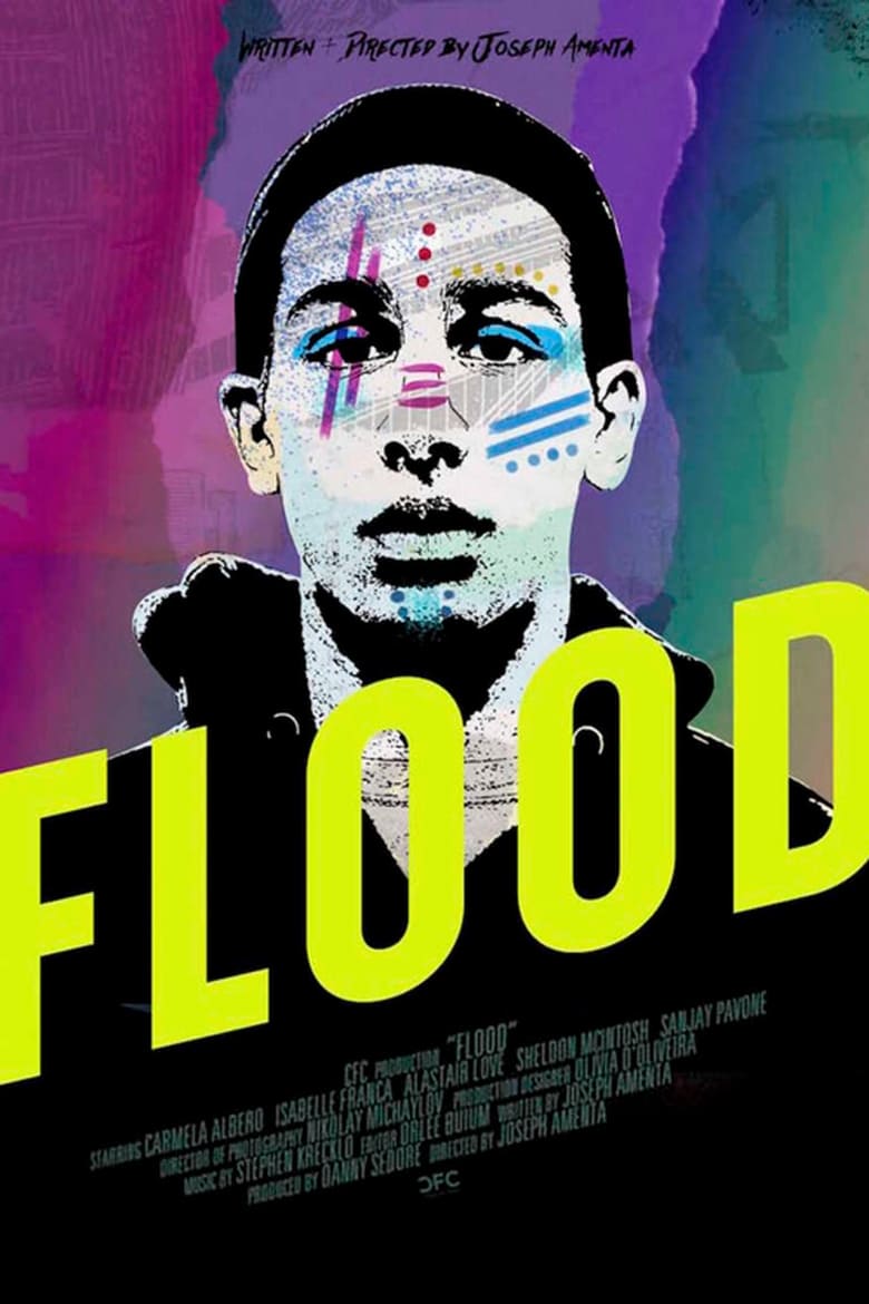 Poster of Flood