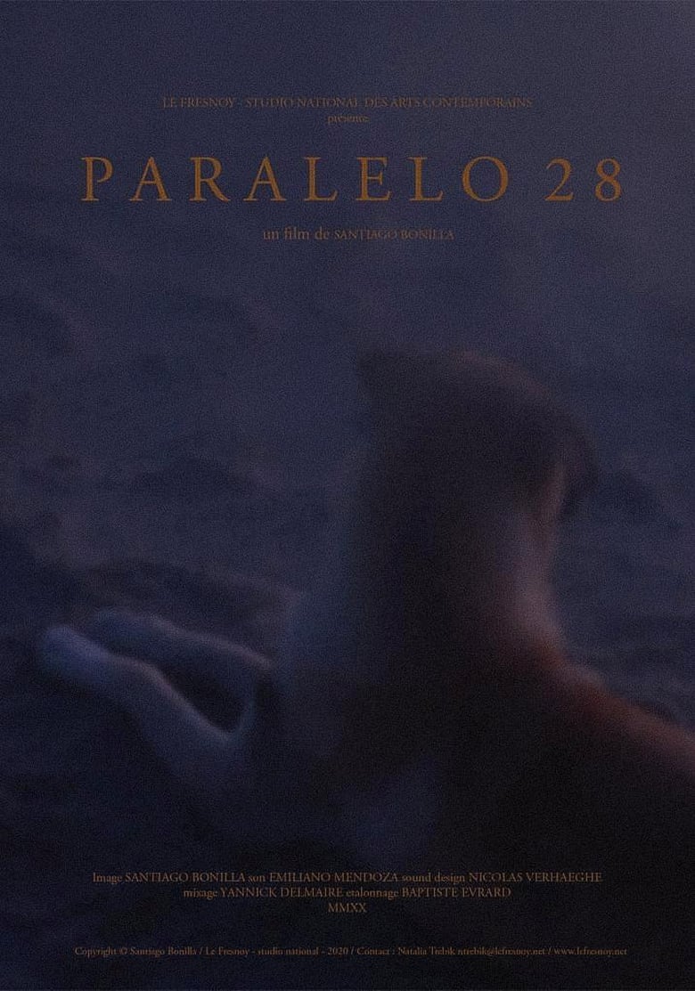 Poster of Paralelo 28