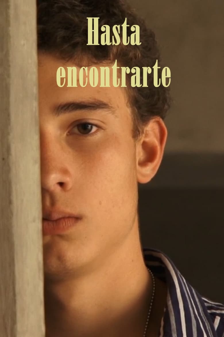 Poster of Hasta encontrarte