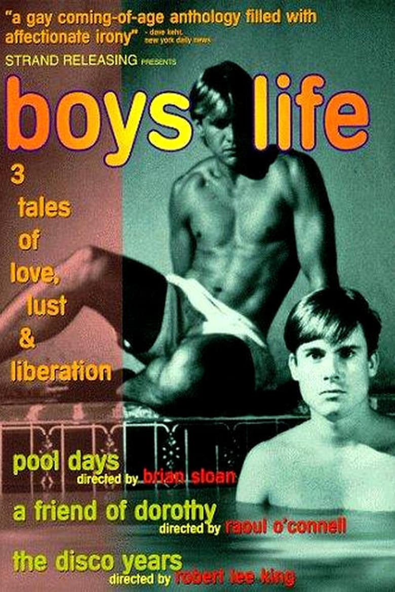 Poster of Boys Life