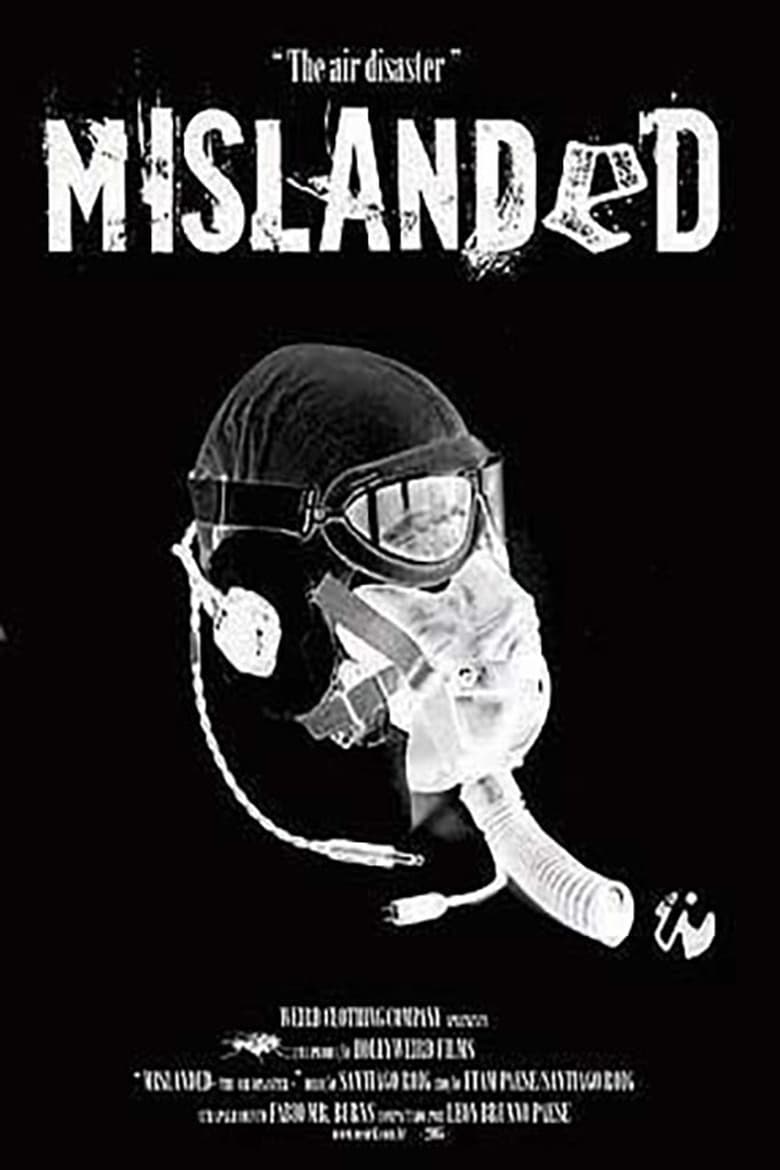 Poster of Mislanded: The Air Disaster