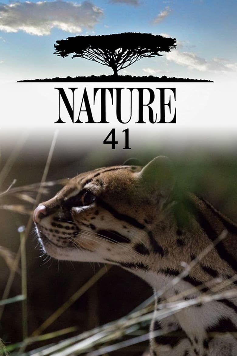 Poster of Episodes in Nature - Season 41 - Season 41