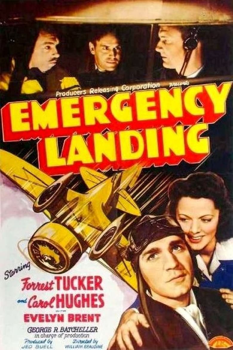 Poster of Emergency Landing