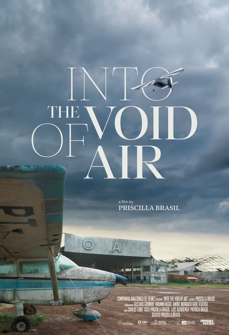 Poster of Into the void of air