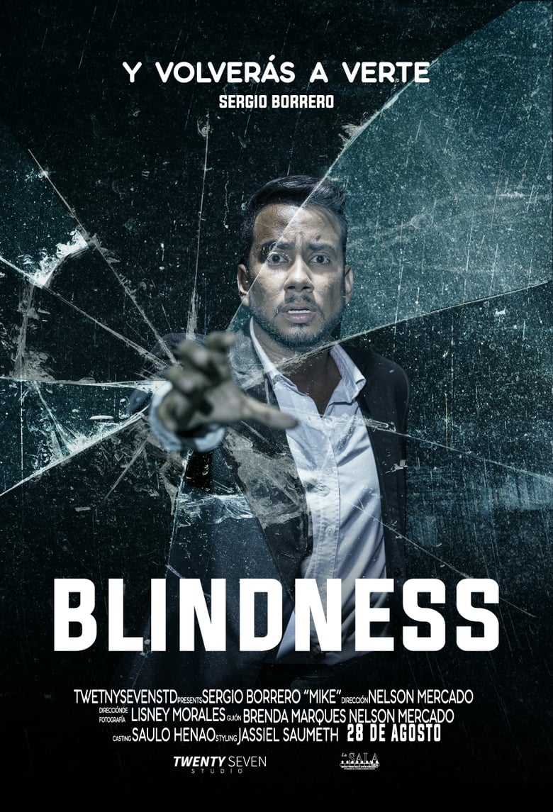 Poster of Blindness