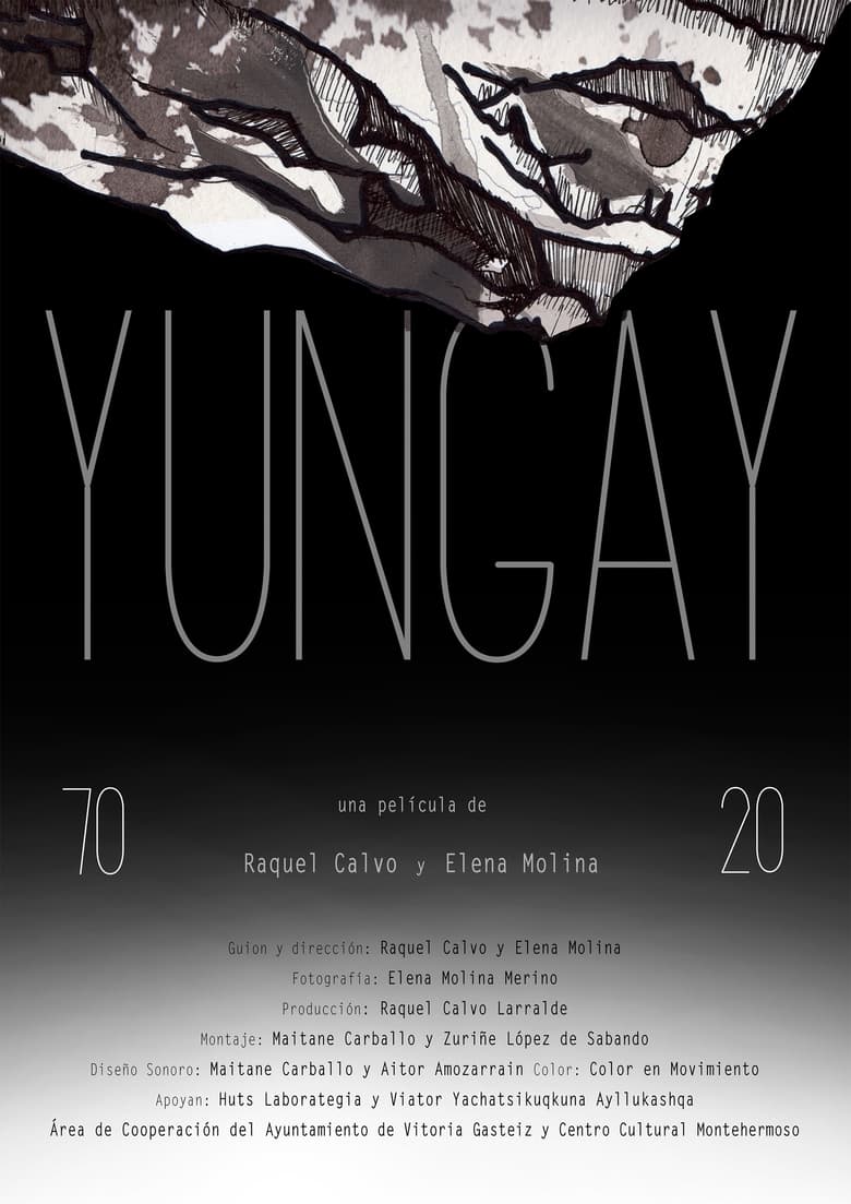 Poster of Yungay 7020