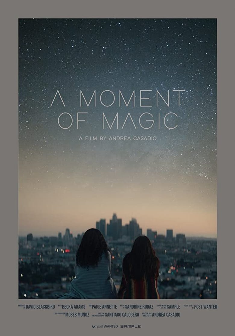 Poster of A Moment of Magic