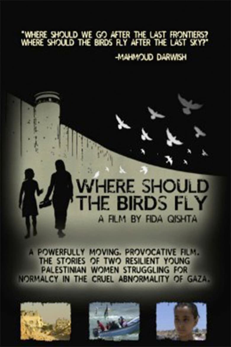 Poster of Where Should the Birds Fly?