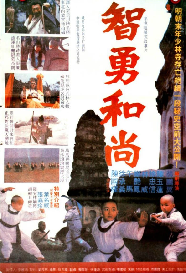 Poster of The Little Shaolin Monk