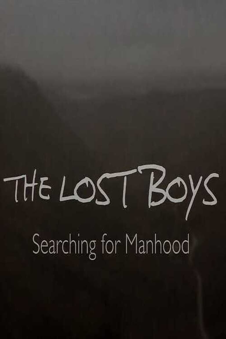 Poster of The Lost Boys: Searching for Manhood