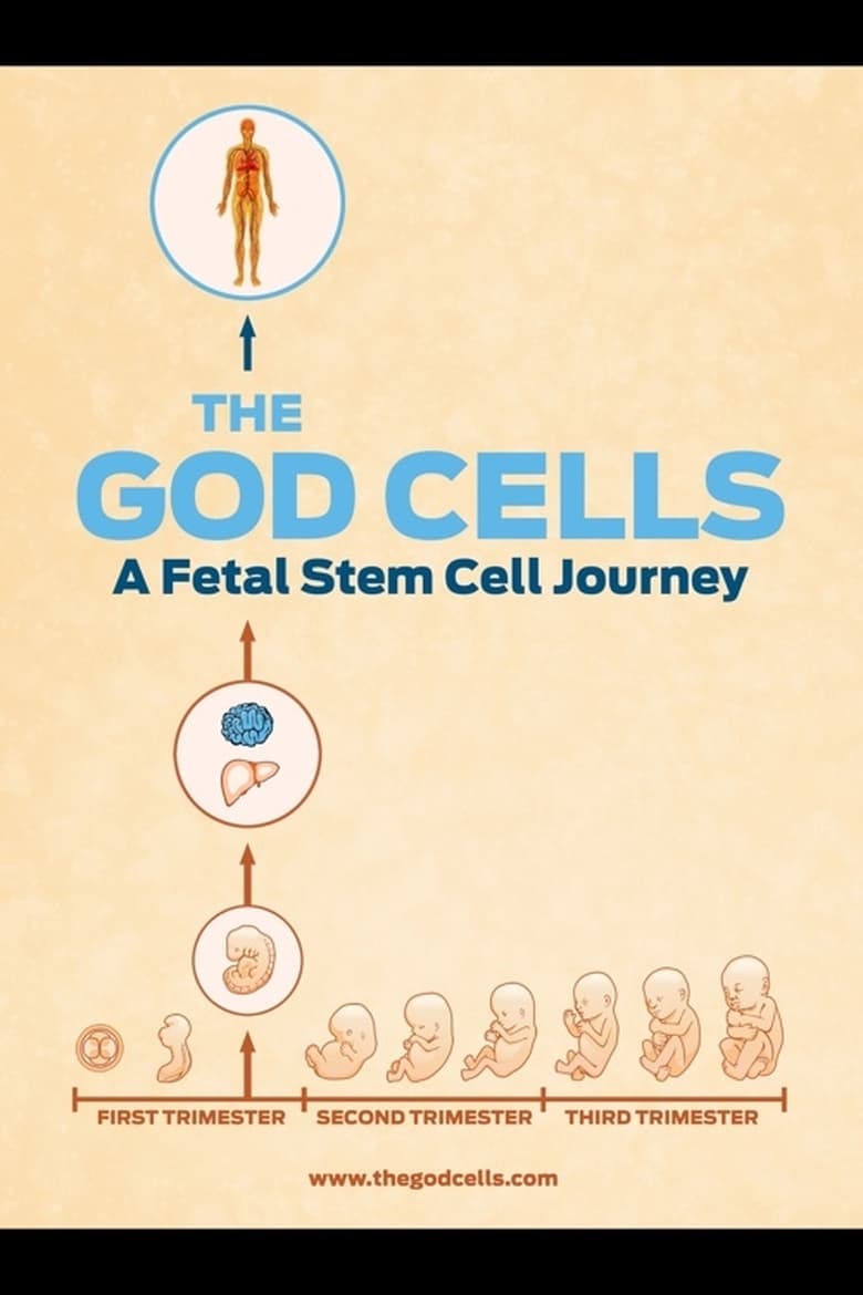 Poster of The God Cells