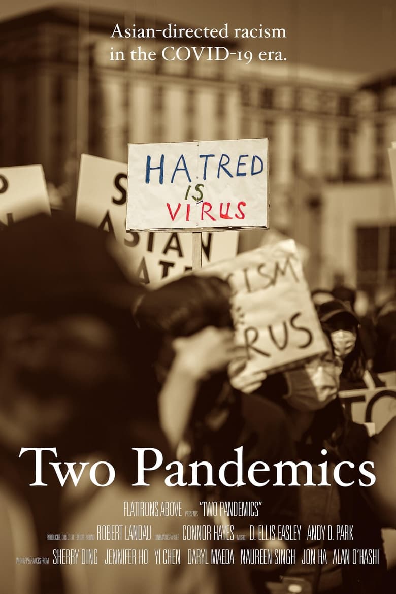 Poster of Two Pandemics