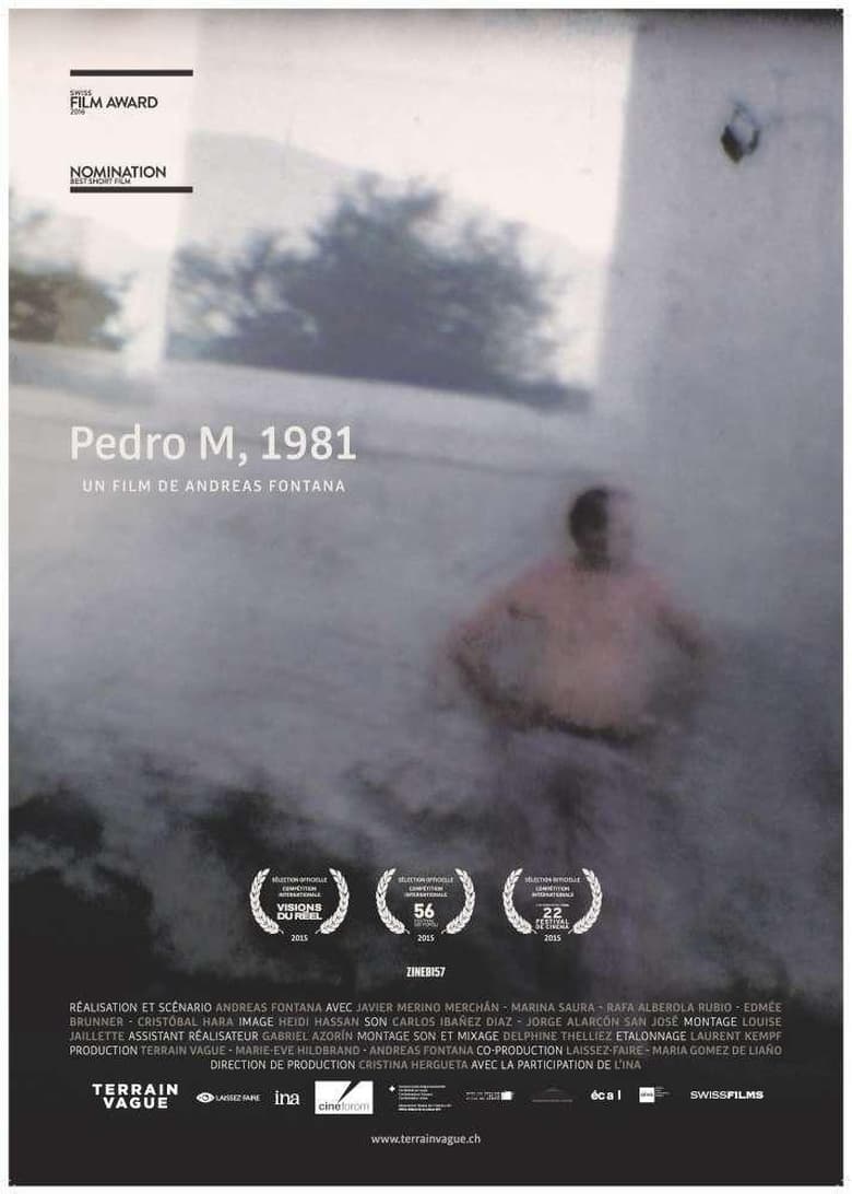 Poster of Pedro M, 1981