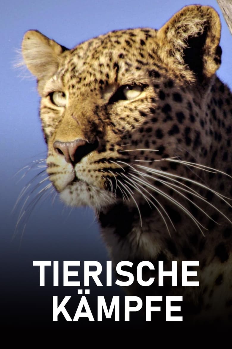 Poster of Episodes in Tierische Kämpfe - Season 1 - Season 1