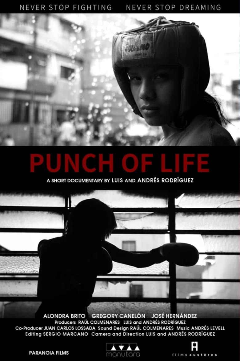 Poster of Punch of Life