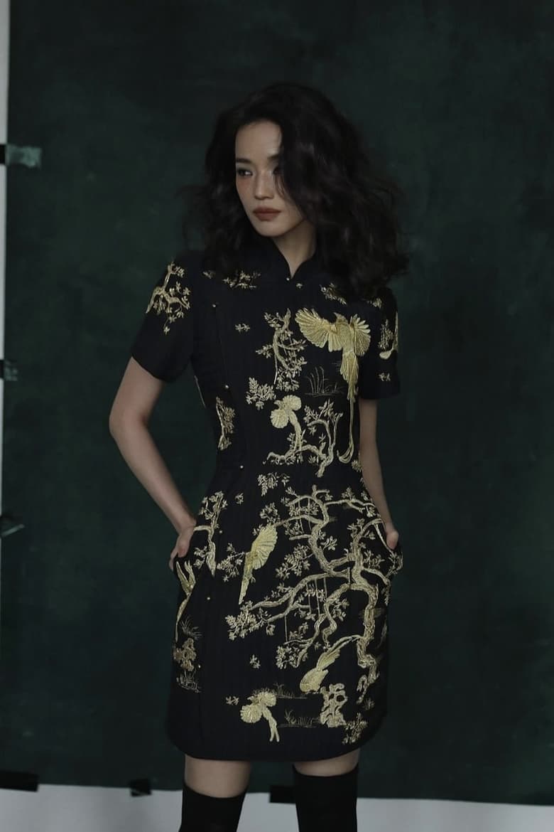 Portrait of Shu Qi