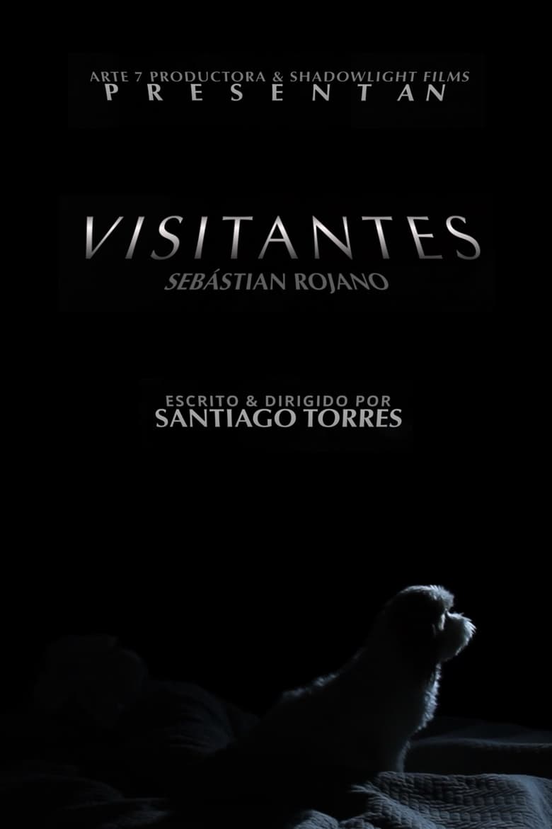 Poster of Visitors