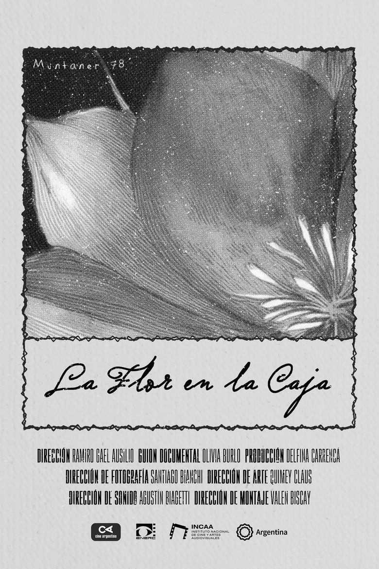 Poster of La Flor en la Caja