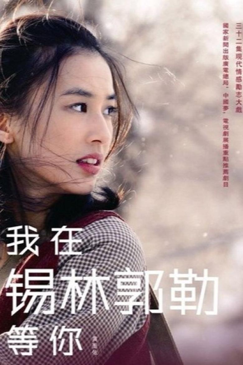 Poster of 我在锡林郭勒等你