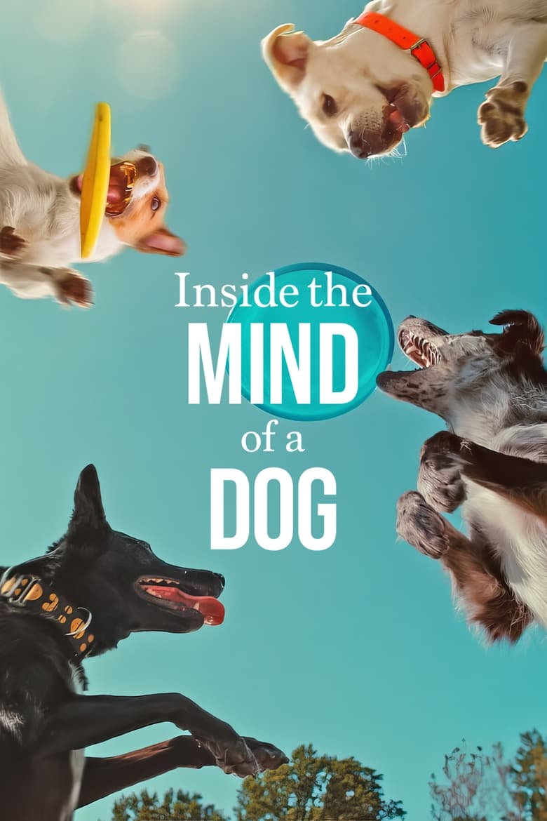 Poster of Inside the Mind of a Dog