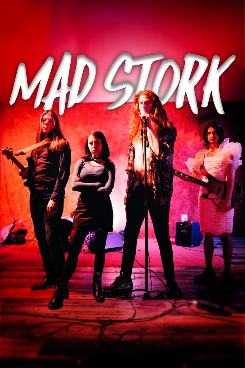 Poster of Mad Stork